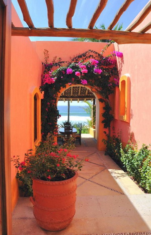 Property Management in Mexico
